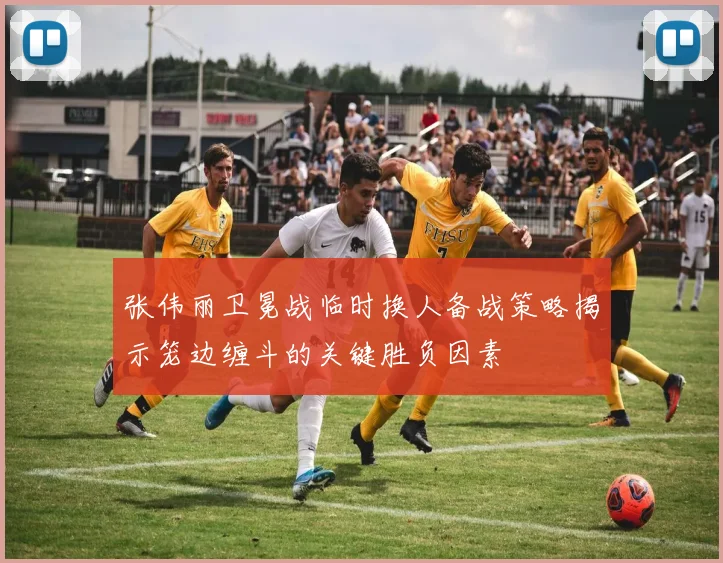 张伟丽卫冕战临时换人备战策略揭示笼边缠斗的关键胜负因素